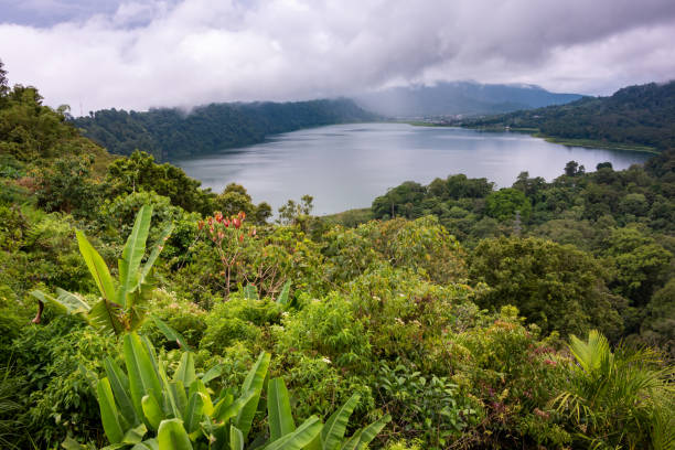 istock Lake surrounded by rainforest in Bali, Indonesia 1464993939