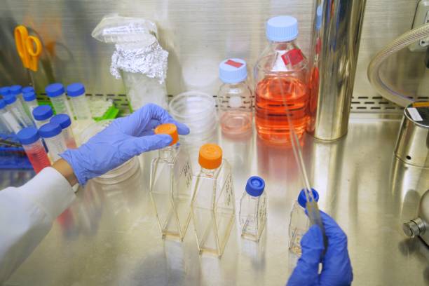 The researcher using glass Pasteur Pipette can be used for toxic reagents or other solution by sterile method. stock photo