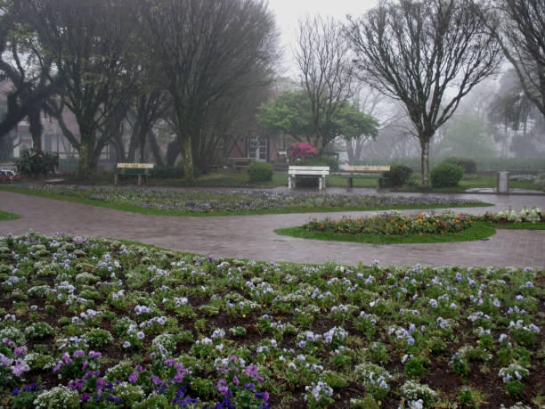 istock View of a beautiful flowery square 1465000914