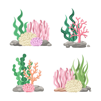 Set of coral reefs with algae, seaweed and rocks in various types cartoon illustration