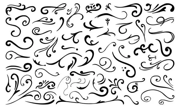 Vector illustration of Calligraphy Curvy Line Floral Decoration. Hand drawn decorative curls and swirls. Flourish swirl ornate decoration for pointed pen ink calligraphy style.
