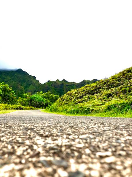 istock Tropical gravel road 1465004124