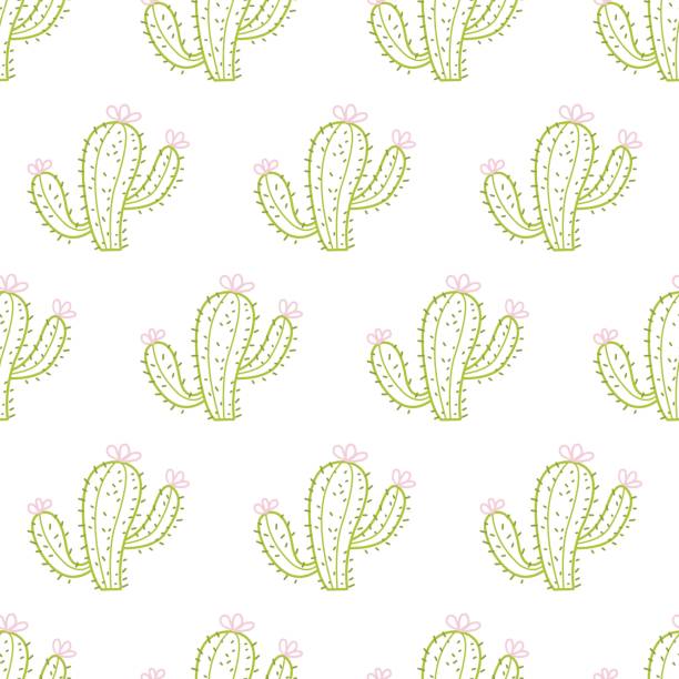 ilustraciones, imágenes clip art, dibujos animados e iconos de stock de cactus verde desierto naturaleza plano vector patrón sin costuras - abstract backgrounds botany cactus