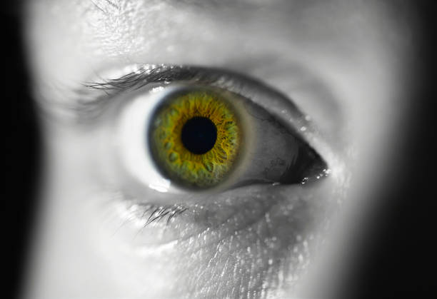 istock Detail of a surprised human eye, visible iris, man, colours, flash 1465005702
