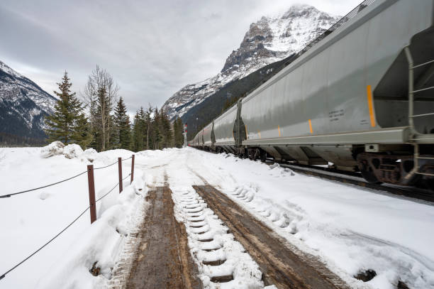 istock Moving Train in the Rocky Mountains at Field, British Columbia 1465009792