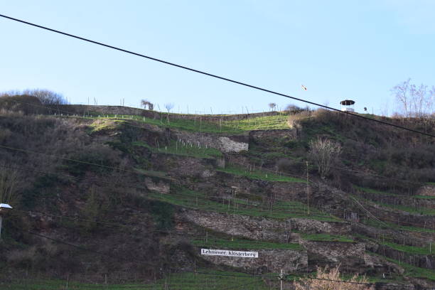 terrassenweinberge mit einem namen - open country stock-fotos und bilder
