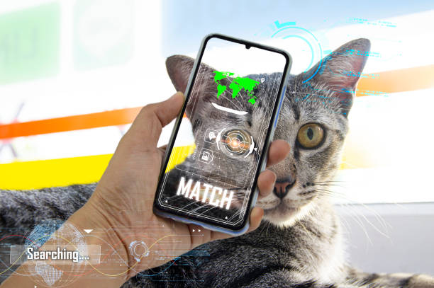istock The concept of using artificial intelligence to find lost or lost pets. 1465017010