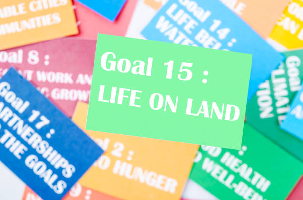 istock The Goal 15 : Life on land. The SDGs 17 development goals environment. Environment Development concepts. 1465018871