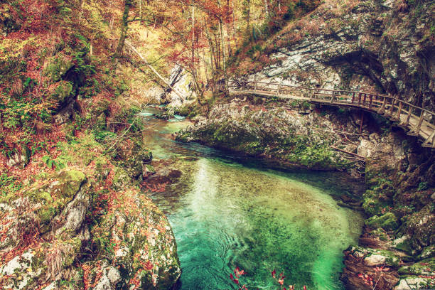 istock Vintgar gorge, Slovenia 1465022894