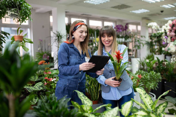 istock Working in own flower shop checking plants on digital tablet 1465025171