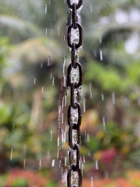 Closeup of rain cascading down a decorative rain chain, with motion blur, in a tropical garden (shallow depth of field)