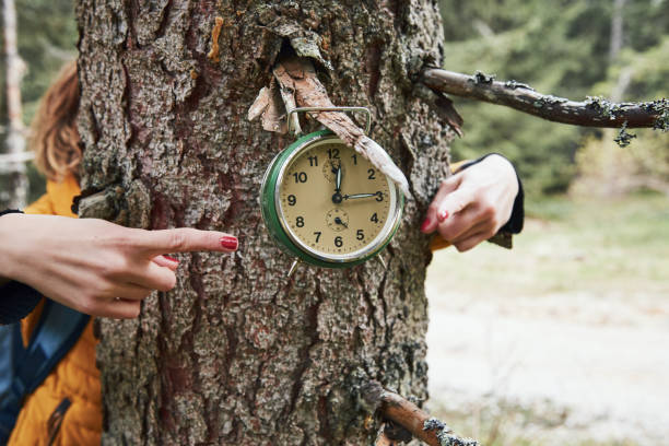 istock Time for nature and environmental conservation. 1465028569
