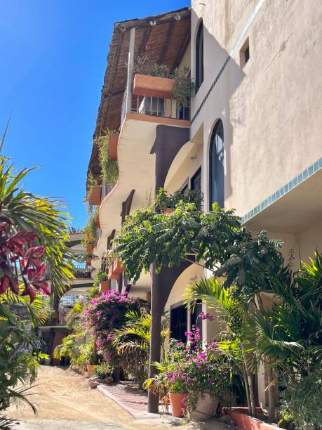istock Tropical Garden on a Mexican Street 1465032223