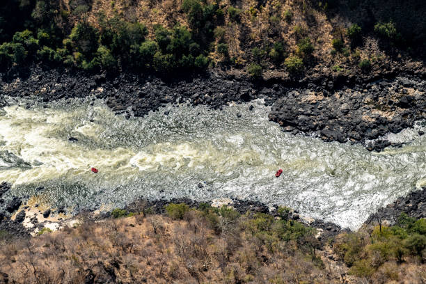 istock Wild water Rafters on the Lower Zambezi River 1465034321