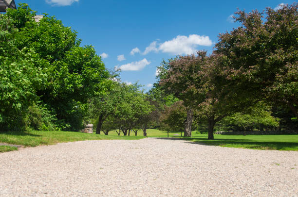 istock topsmead state forest driveway and landscape 1465034503