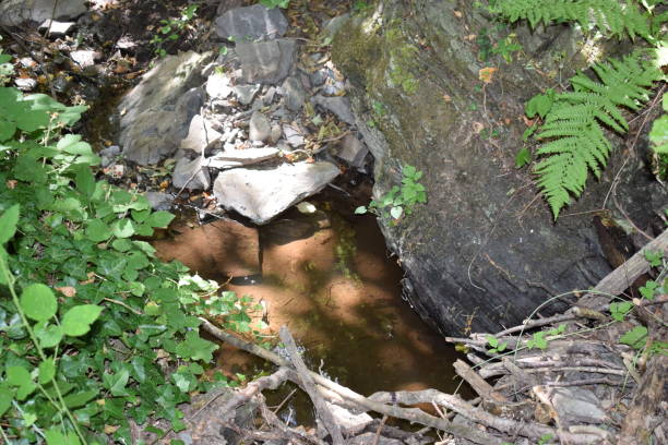 istock small pond of a dry river 1465037352