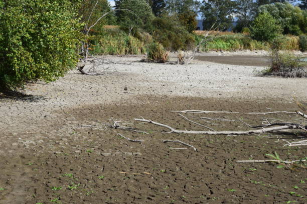 dry lake in summer