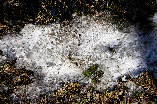Spring ground covered with thawing snow. Melting ice on dry grass close up.