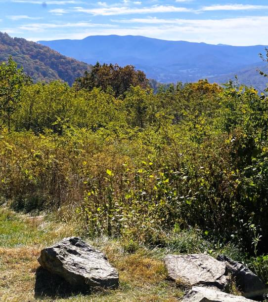 istock Scenic view over Shenandoah National Park 1465041222