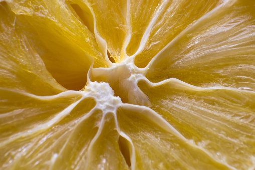 macro photo of a dehydrated lemon