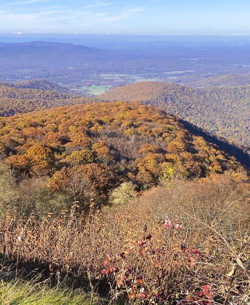istock Scenic view over Shenandoah National Park 1465041294