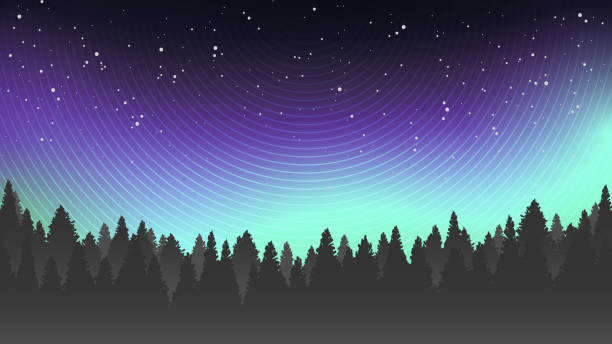 Aurora borealis and north forest landscape Dark forest silhouette on the background of north starry sky. Astro nordic abstract design. Vector illustration. alaska northern lights stock illustrations