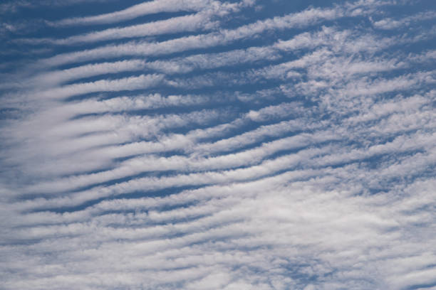 Beautiful blue sky with white Altocumulus undulatus clouds. Stratocumulus cloud texture, blue sky background.