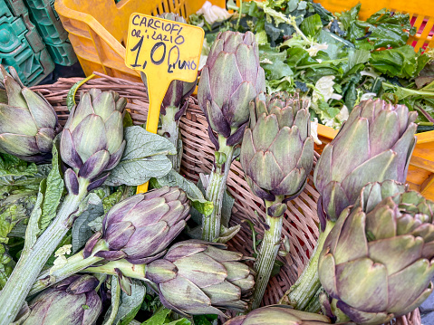 supermarket, italian price tag on fresh artichokes with selective focus in an open farmers market in Italy. fresh and ripe artichoke on vegetable stands or displays in greengrocery in Rome, Italy