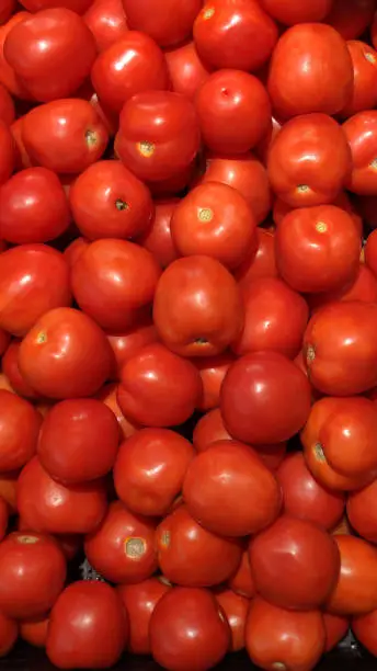 Group of red tomato background texture.