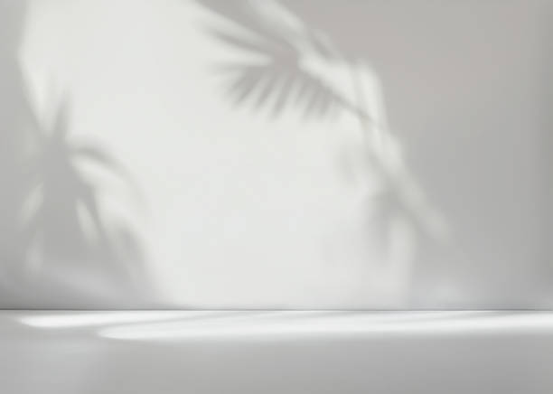 istock An original background image for design or product presentation, with a play of light and shadow, in light gray tones. 1465053823
