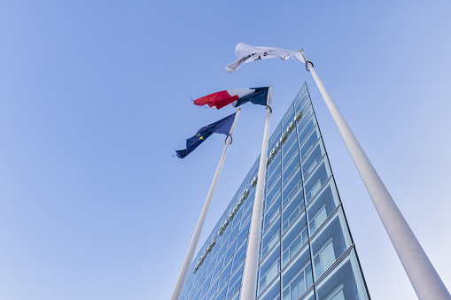 Waving flags