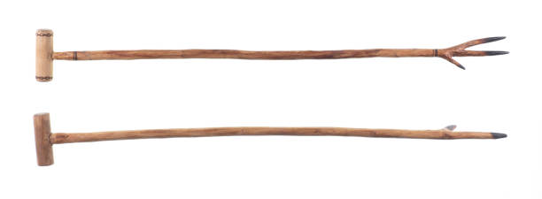 istock old wooden cane for walking isolated on white background 1465068341