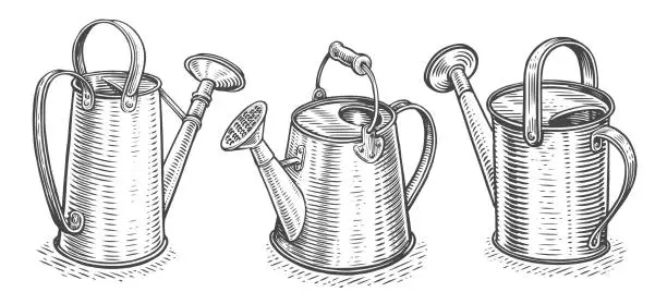 Vector illustration of Retro watering can vector. Gardening tool or agricultural implement used in horticulture and plant cultivation