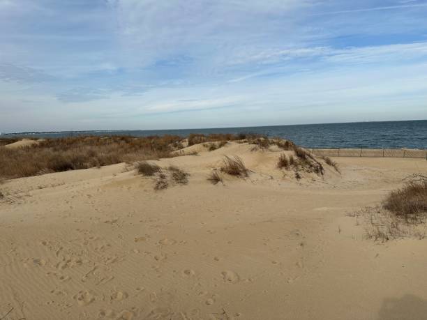 istock Chesapeake Bay along Virginia Beach, Virginia 1465085958