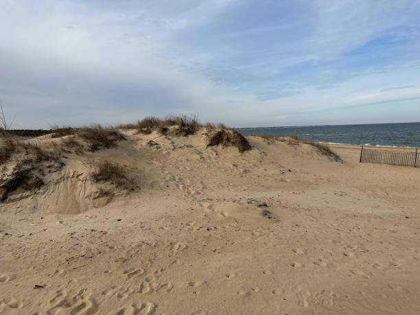 istock Chesapeake Bay along Virginia Beach, Virginia 1465086015