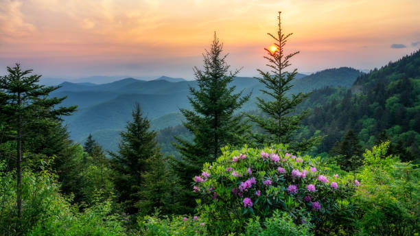 Summer sunset on the Blue Ridge Parkway - North Carolina