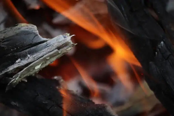 Closeup of burning campfire in forest.