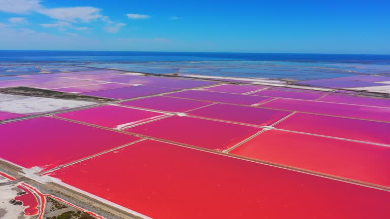 Drone point of view vibrant pink salt flats along sunny ocean