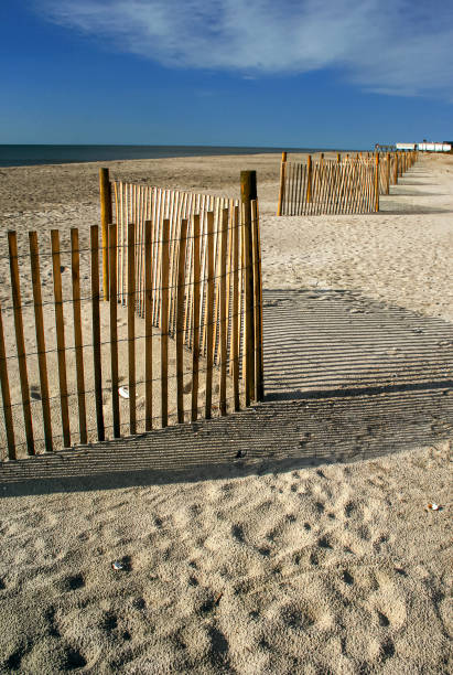Fence Beach Sand Fence at Edisto Beach, South Carolina edisto island south carolina stock pictures, royalty-free photos & images