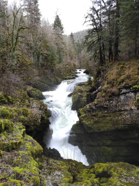 istock River Ain, Pertes de l'Ain, Bourg-de-Sirod, Jura, France 1465113610