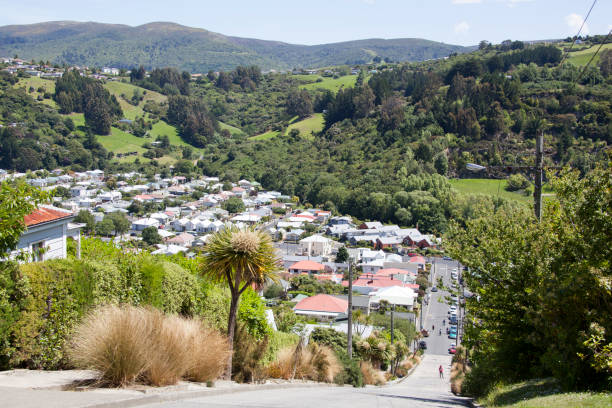istock Dunedin Town View From The Steepest Street 1465121157