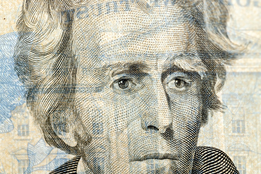 details of the twenty American dollar banknote , close -up of an American genuine 20 dollar bill