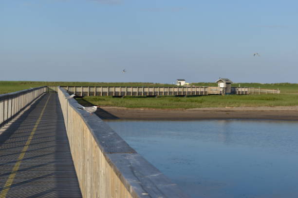 istock Short walk on the boardwalk in Kouchibouguac 1465150683