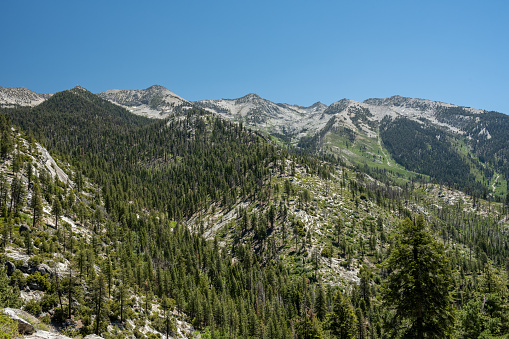 Green Meadows and Pine Trees Below Kennedy Pass in Kings Canyon National Park