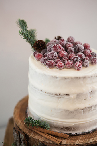 Christmas cake with sugared cranberries