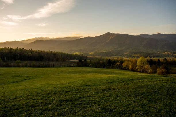 istock Morning Sun Throws Soft Light Over Cades Cove 1465157474