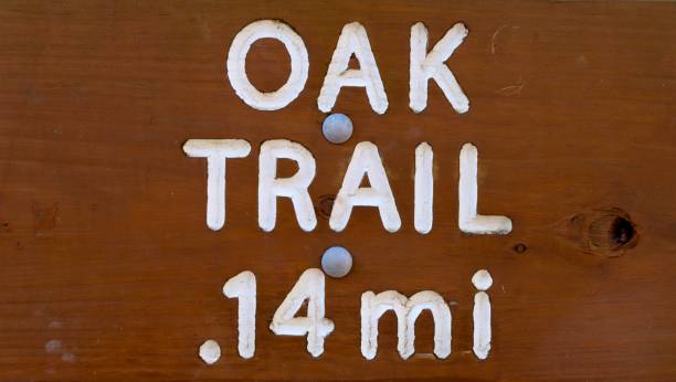 istock Wood Trail Sign 1465158095
