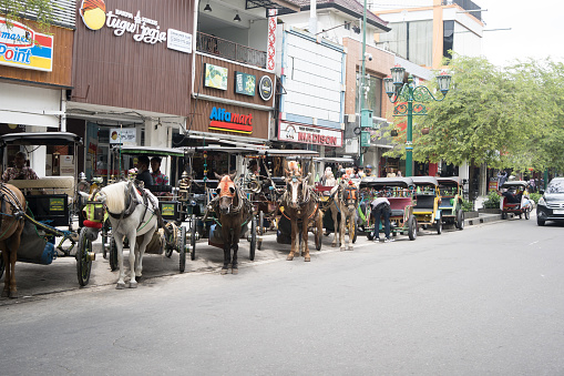 28 January 2023. Traditional horse carriages or Andong around Malioboro, Yogyakarta. Indonesia. Street Photography.