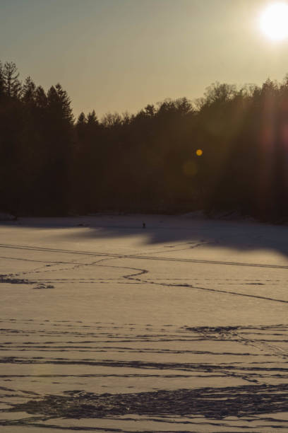 istock Frozen lake ice fishermen on ice landscape perspective, pine trees 1465173590