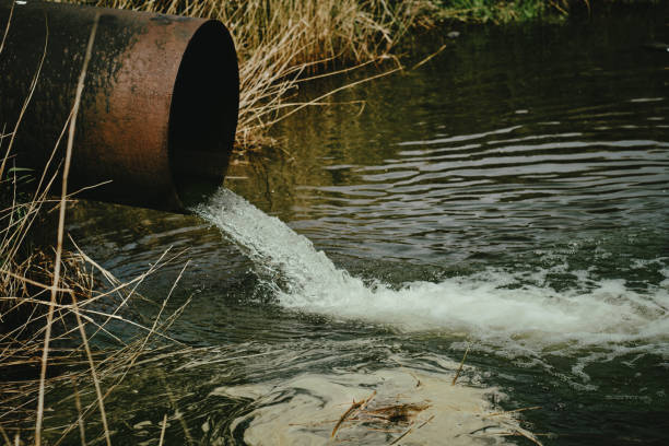 istock Draining sewage from pipe into river, pollution rivers and ecology. 1465191756